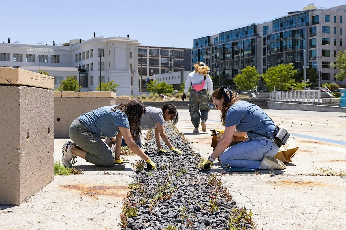 Port of San Francisco Parks &  Open Spaces Beautification Day, 30 May | Event in San Francisco | AllEvents