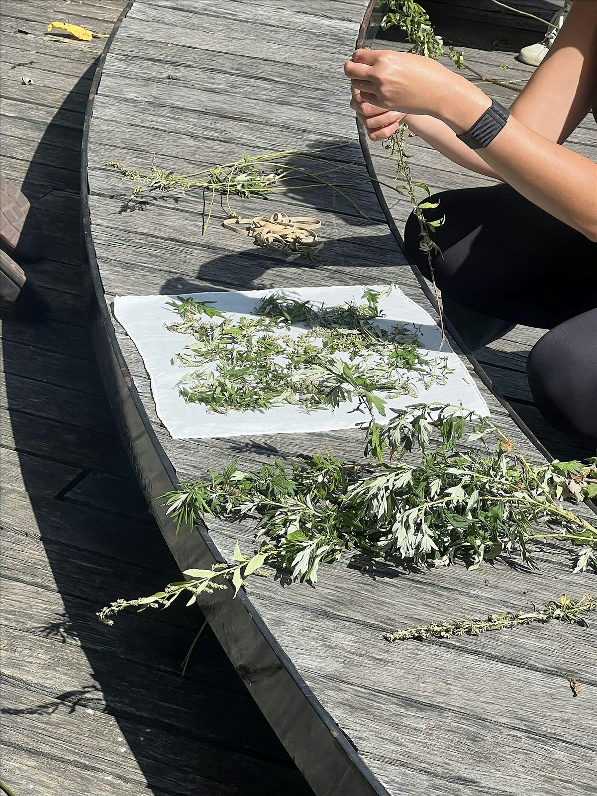 Mapping Mugwort, 28 June | Event in Brooklyn | AllEvents