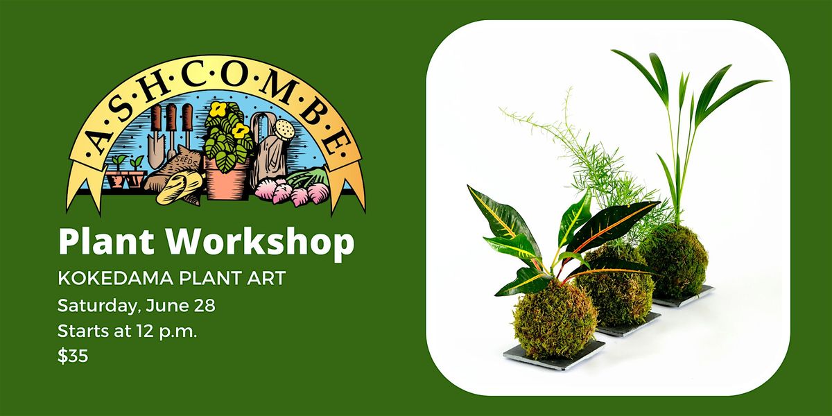 Kokedama Plant Art, 28 June | Event in Mechanicsburg | AllEvents