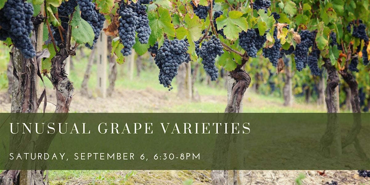 Unusual Grape Varieties, 6 September | Event in Cambridge | AllEvents