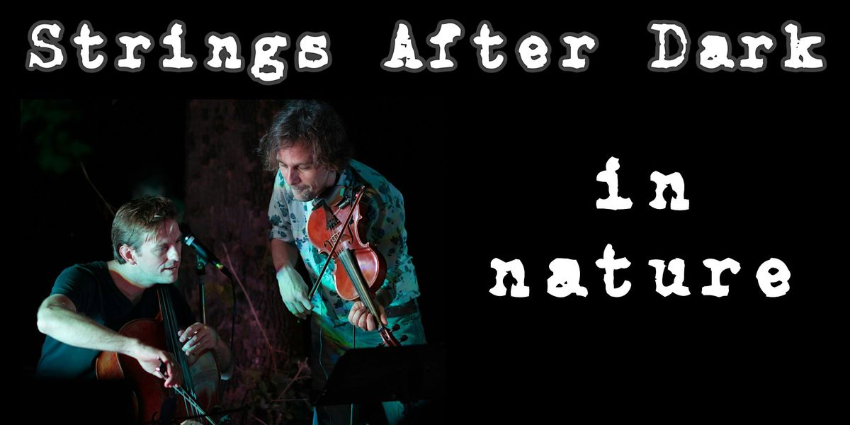Strings After Dark Beatles Benefit with Award Winning Strings & Songwriter, 25 July | Event in Wimberley