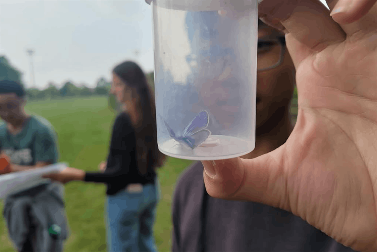 Group Science Adventure Walk through King's Mill Park North, 18 October | Event in Toronto | AllEvents