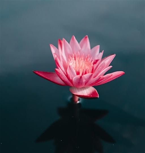 Une journée en silence : méditation Pleine Conscience, 18 May | Event in Villeneuve d'Ascq | AllEvents