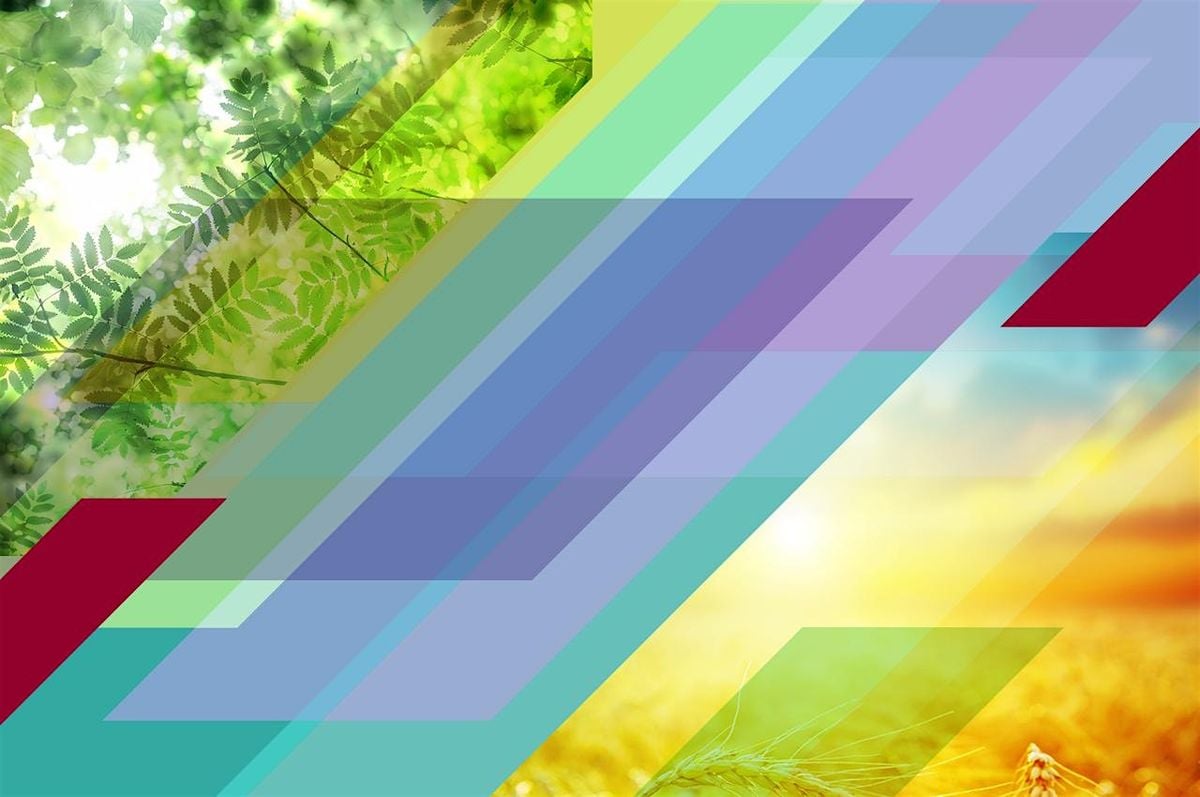 Miniseries: Cultivating Skills for Well-being, 9 July | Event in Montreal | AllEvents