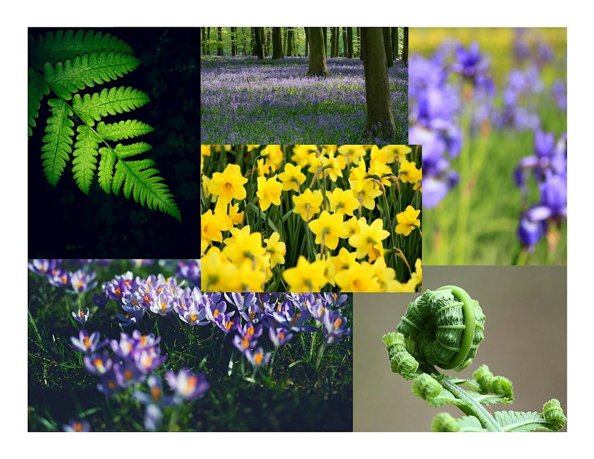 Fall Plant Exchange, 4 October | Event in Detroit | AllEvents