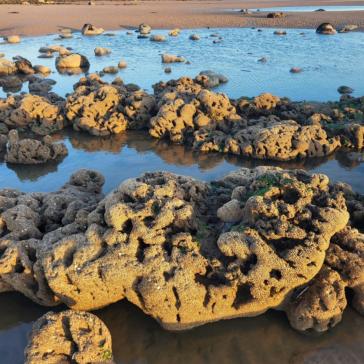 Marine Survey, 28 February | Event in Barrow-in-Furness | AllEvents
