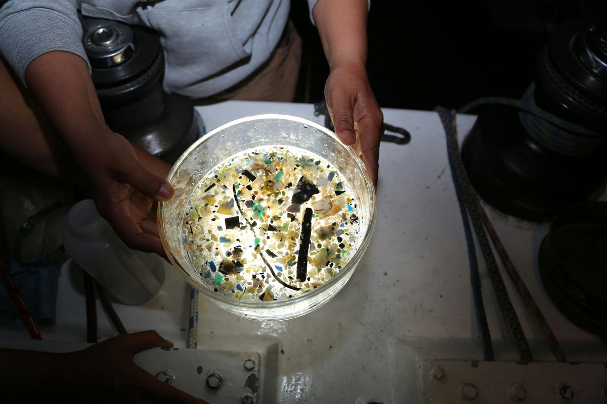 Talking Trash with Dr. Cowger: From Pollution to Prevention, 7 October | Event in Long Beach | AllEvents