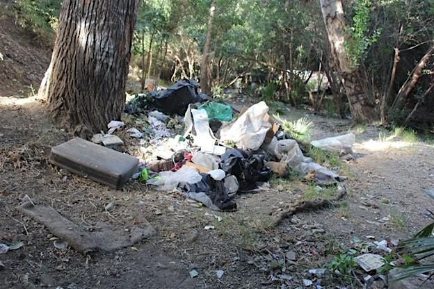 Mid-Week Cleanup Event on Los Gatos Creek at San Carlos, 6 August | Event in San Jose | AllEvents