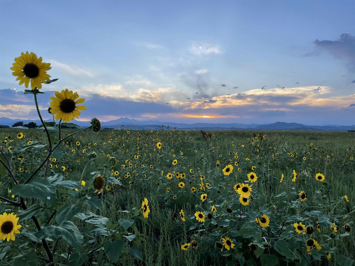 Boots and Bouquets: a Fundraiser at Yellowstone Hill Farm, 13 June | Event in Longmont | AllEvents