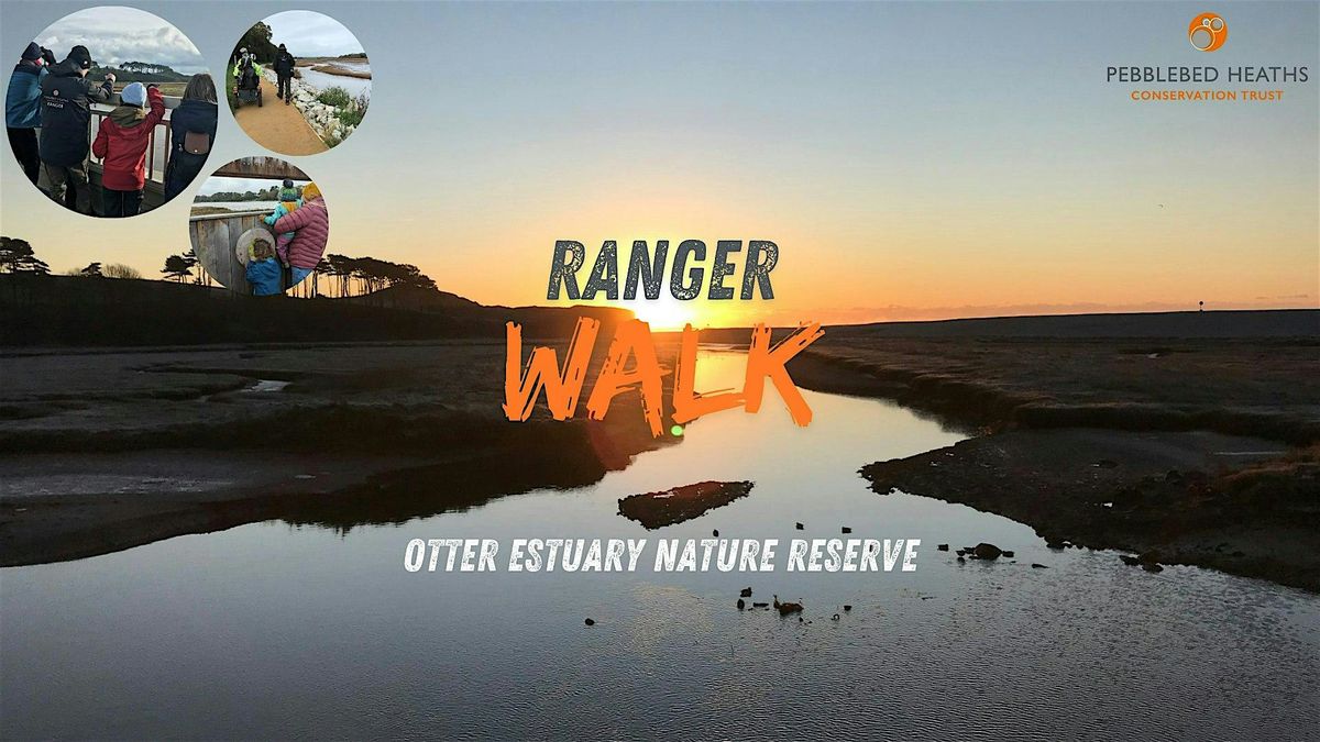 Otter Estuary Ranger Walk, 12 December | Event in Budleigh Salterton | AllEvents
