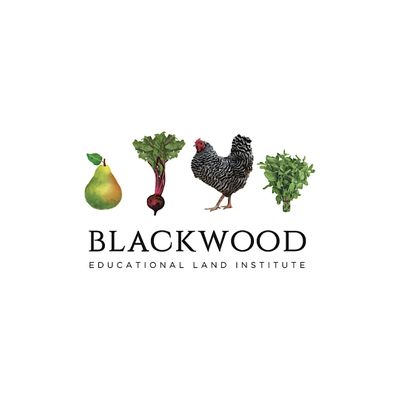 Blackwood Land logo