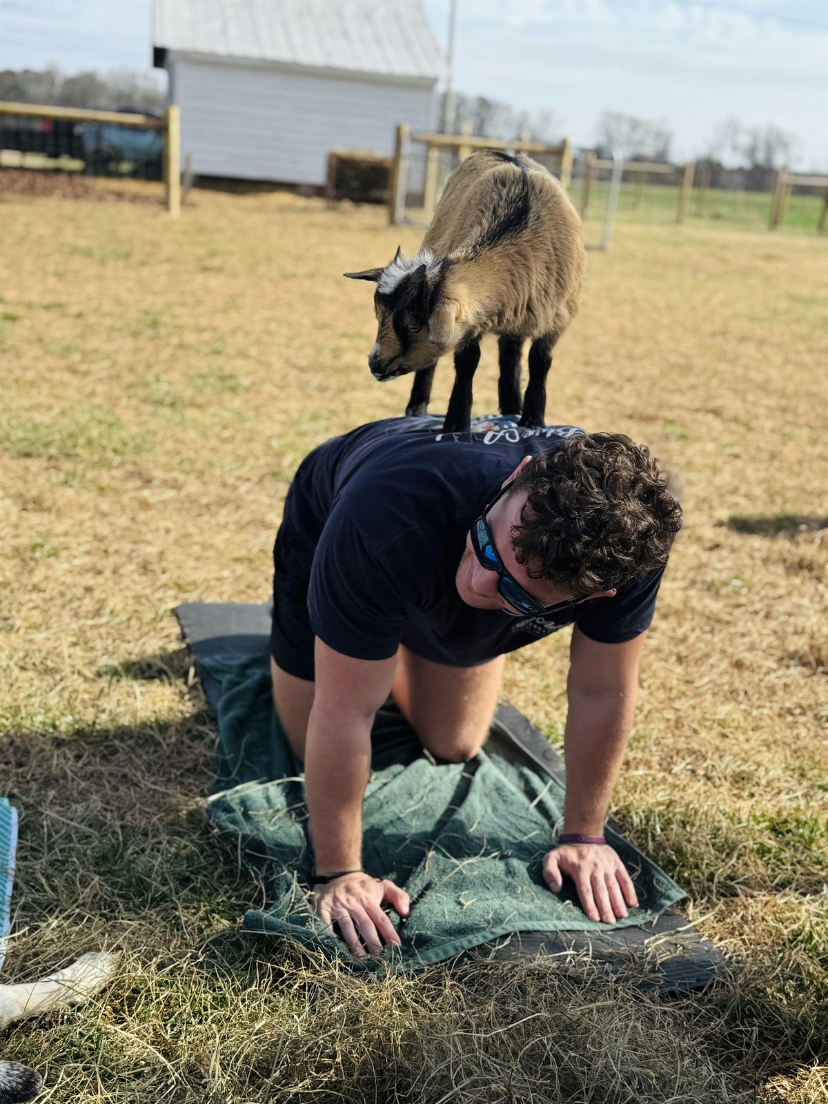 GOAT  YOGA ‍, 8 November | Event in Fremont | AllEvents