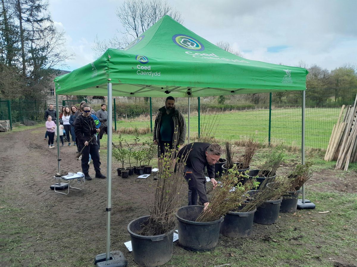 Household Tree Donations (spring round 26) (Forest Farm, Whitchurch), 25 March | Event in Cardiff | AllEvents