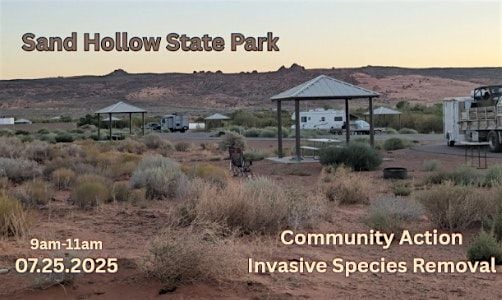 Community Action - Invasive Species Removal | Event in Hurricane | AllEvents