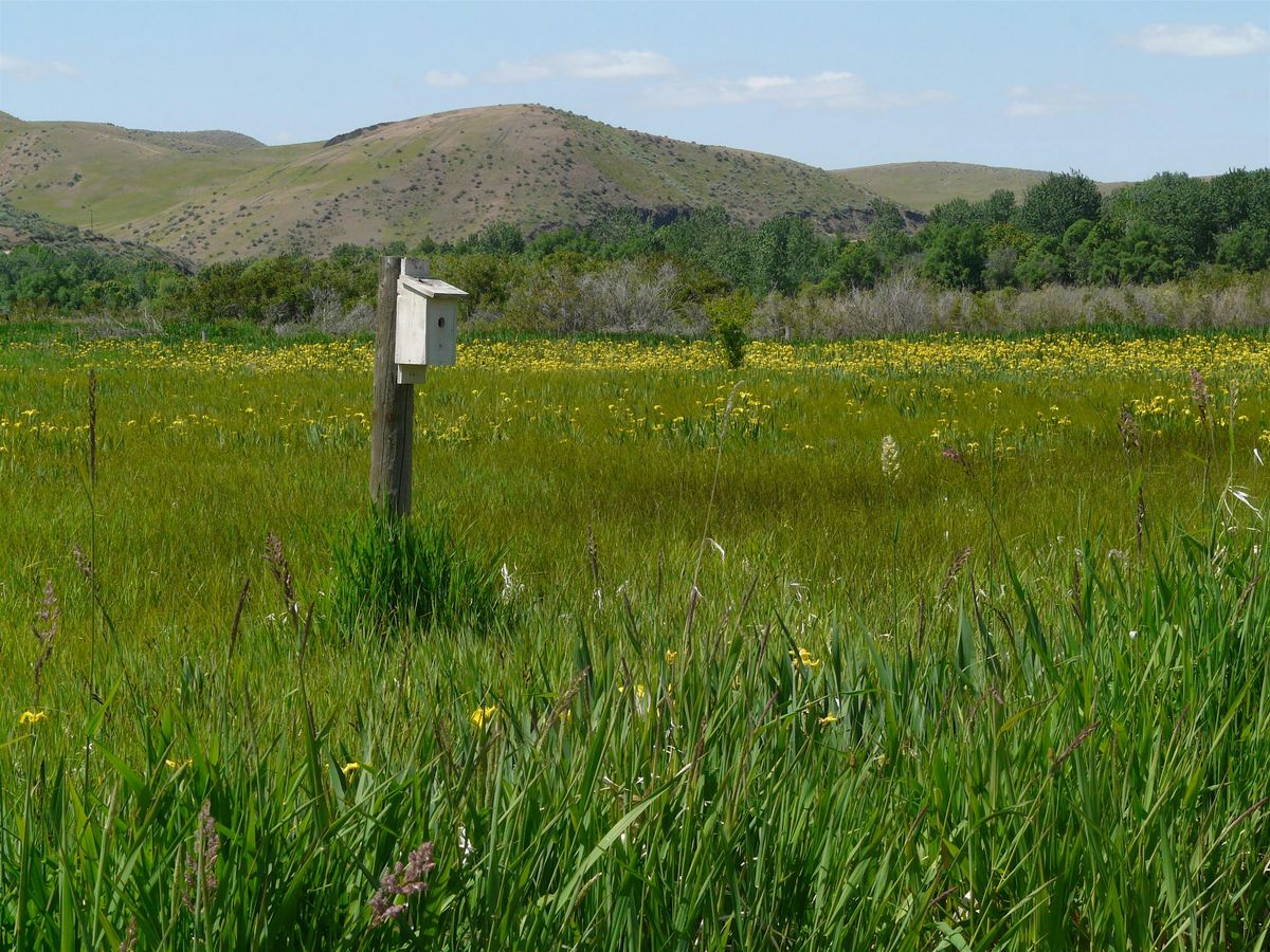 Field Trip: Montour/High Valley, 31 May | Event in Horseshoe Bend | AllEvents