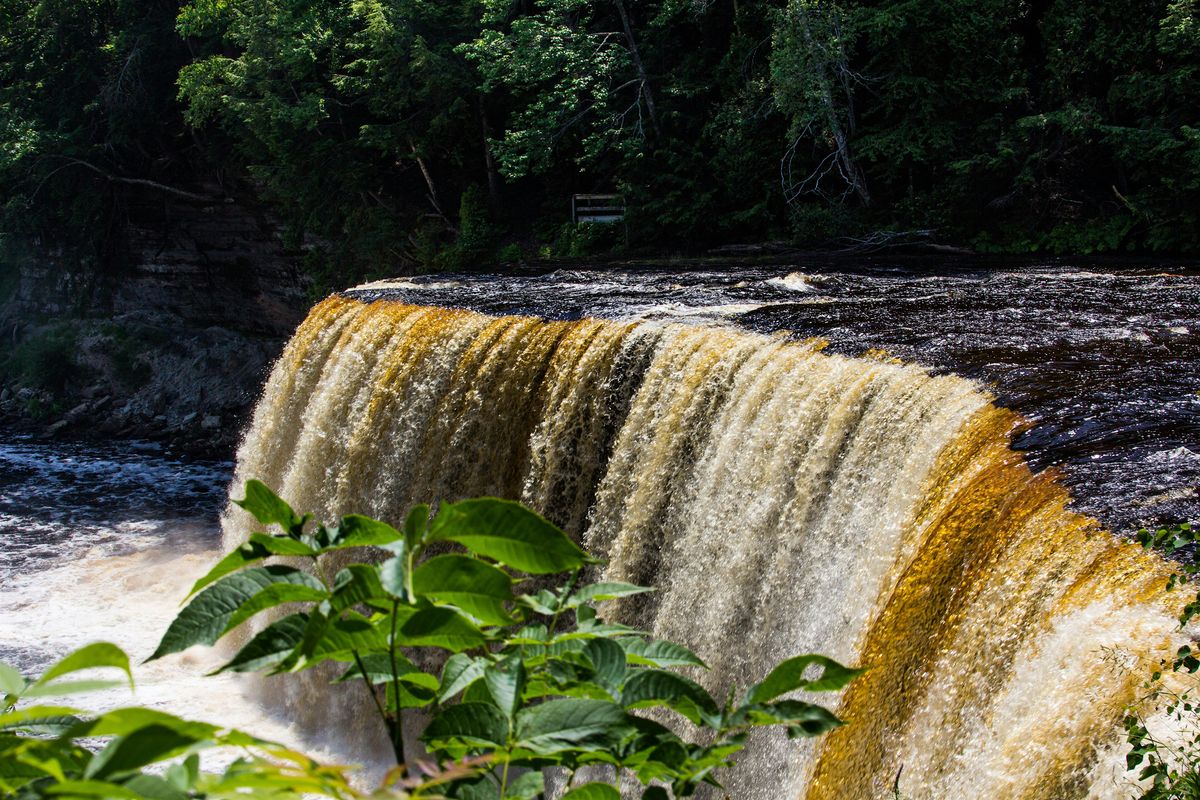 Basic Photography 101, 9 August | Event in South Bend | AllEvents