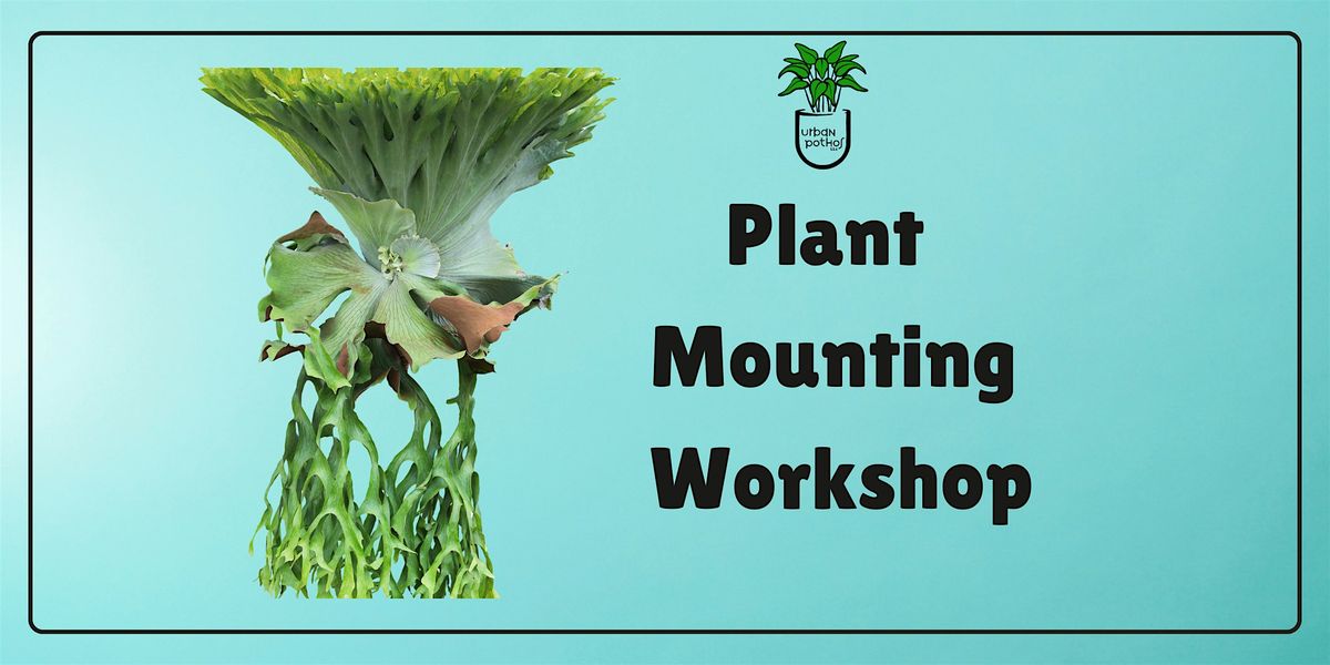 Plant Mounting Workshop, 16 November | Event in Raleigh | AllEvents