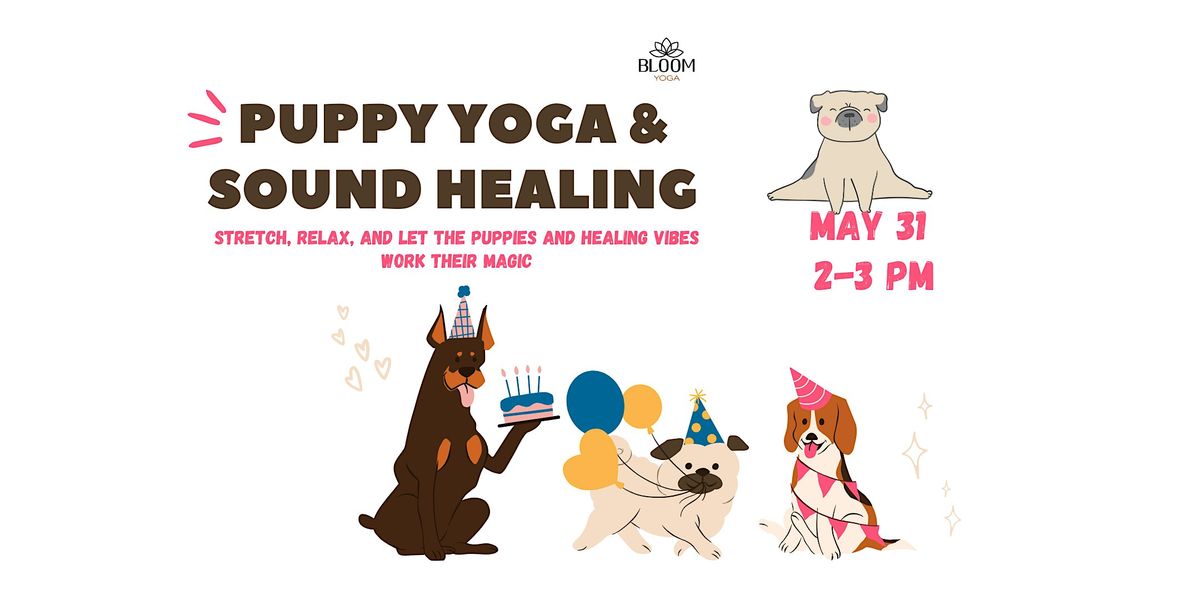 Puppy Yoga & Sound Healing | Event in Miami | AllEvents