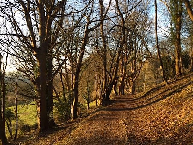 Heavens Valley Work Day for volunteers, 2 September | Event in Stroud | AllEvents