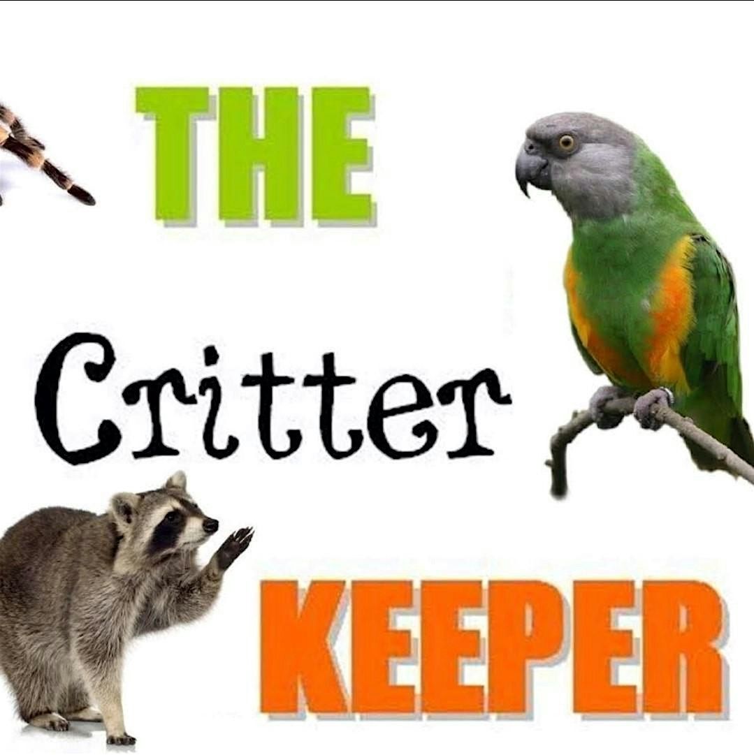 Exotic Animal Workshop & Ice Cream @ Mackie's 19.2, 19 October | Event in Aberdeen | AllEvents