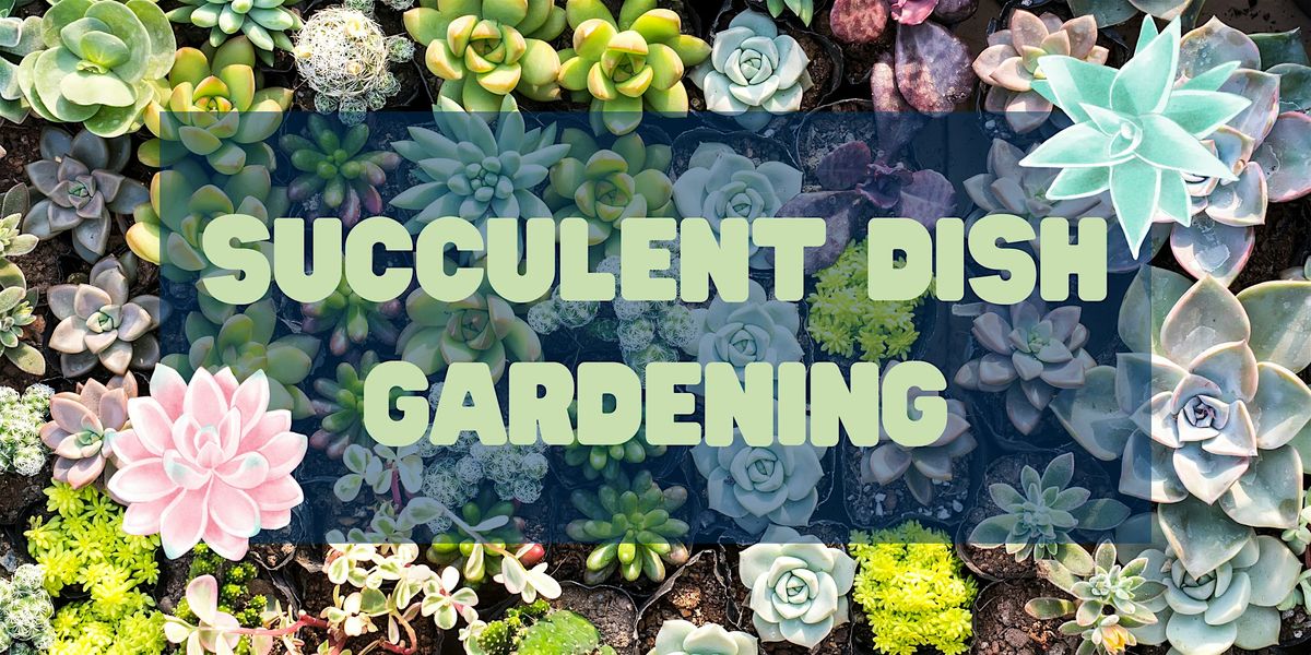 Succulent Dish Gardening Workshop at Lukas Nursery, 9 August | Event in Oviedo | AllEvents