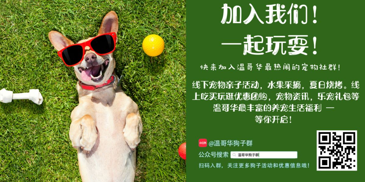 温哥华狗子群2025夏日蓝莓园游会, 2 August | Event in Langley Township | AllEvents
