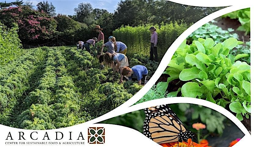 Volunteer at Arcadia's Hilltop Farm, 6 October | Event in Alexandria | AllEvents