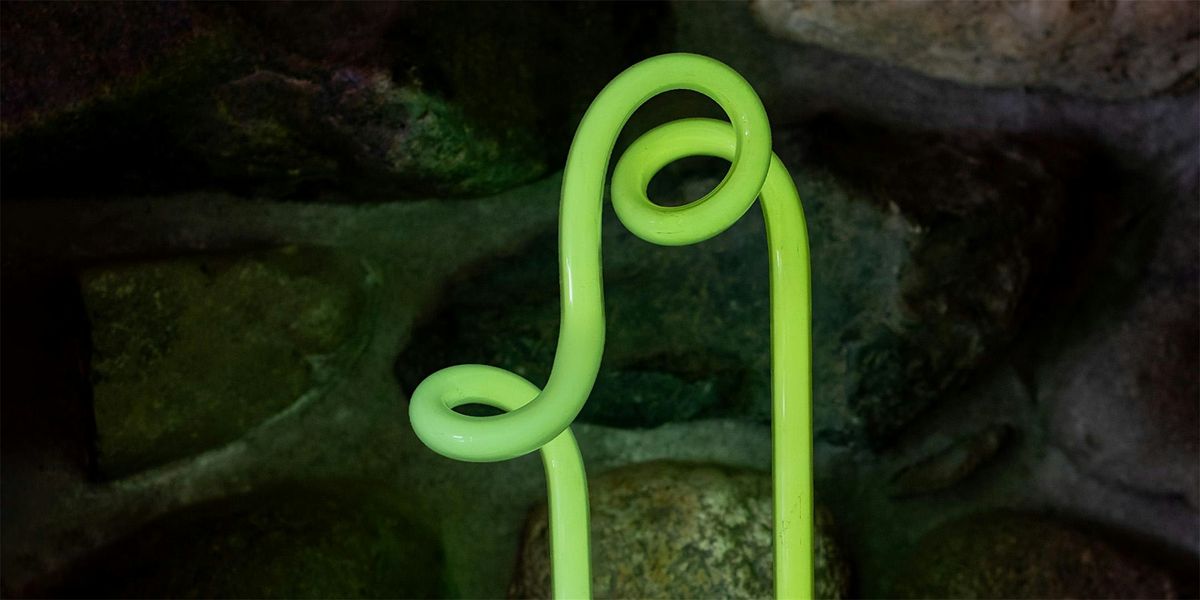 Introduction to Neon, 2 August | Event in Stanwood | AllEvents