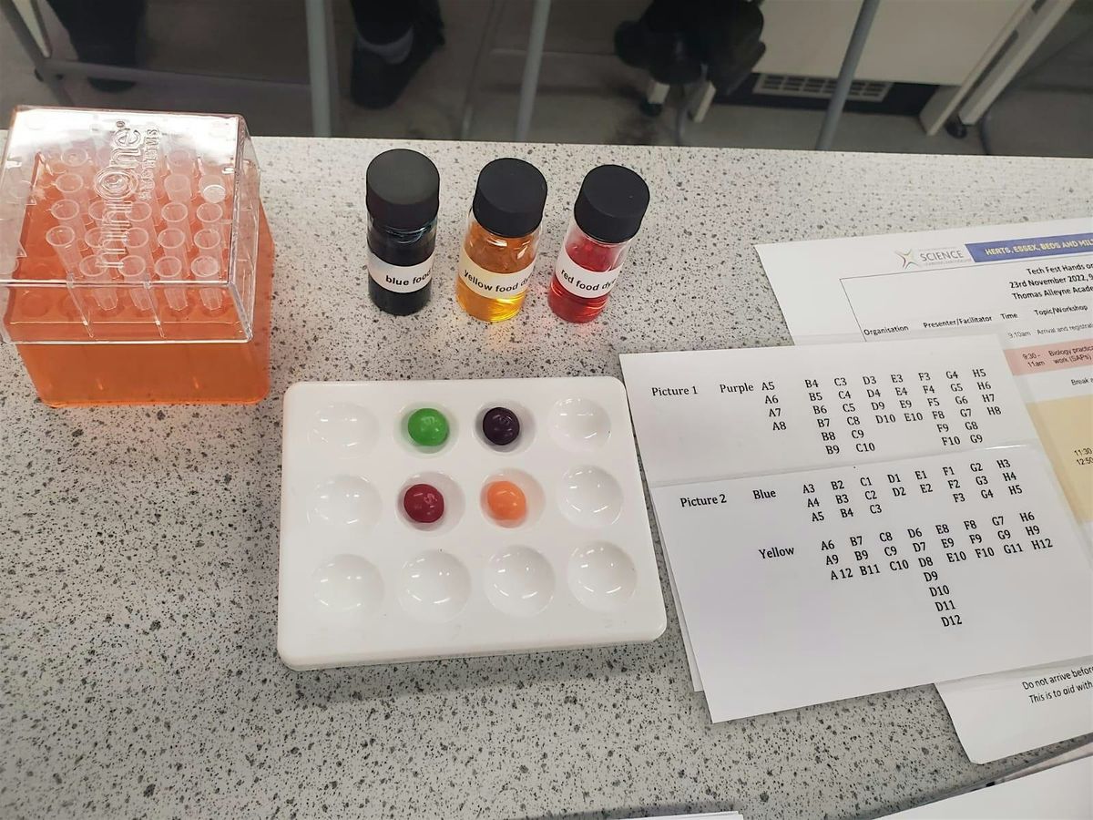 Tech Fest 2026, 18 June | Event in Chelmsford | AllEvents