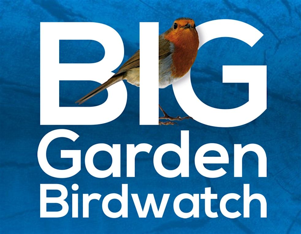 BIG GARDEN BIRDWATCH, 24 January | Event in Blackburn | AllEvents