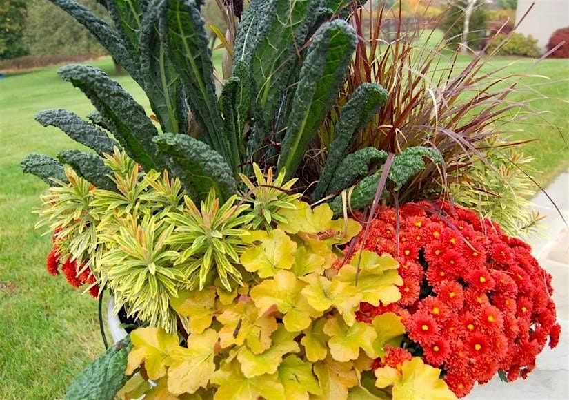Pots of Possibilities- Potting Up Autumn Magic, 13 September | Event in Frankford | AllEvents