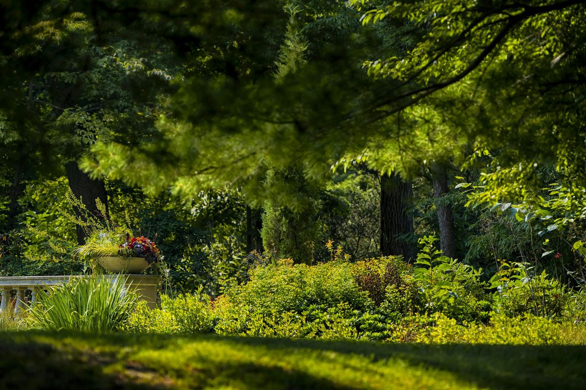 Summer to Fall Forest Bathing, 13 September | Event in Wilmington | AllEvents