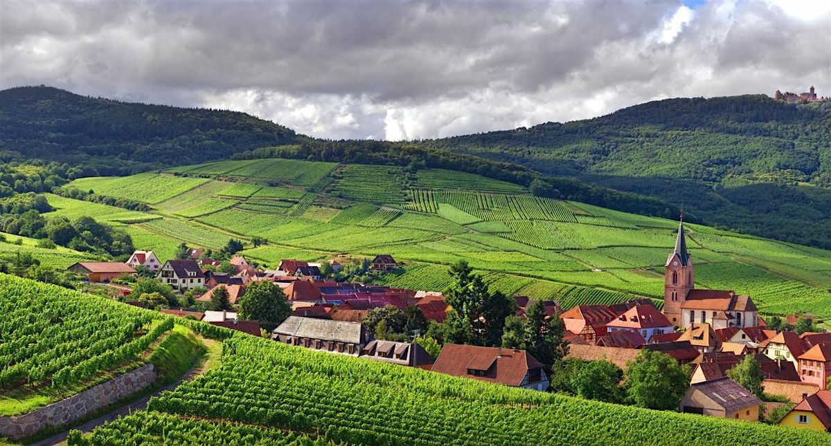 Alsace: Wine tasting experience and dinner, 17 October | Event in Washington | AllEvents