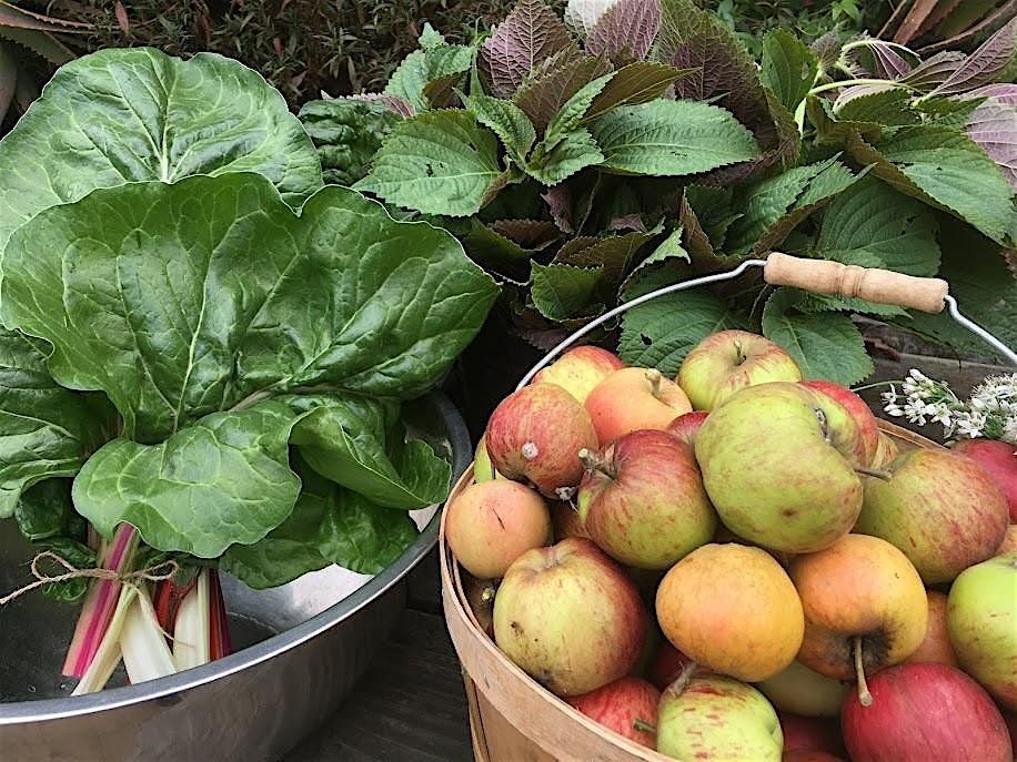 Grow Your Own Food Workshops 2025 | Event in San Francisco | AllEvents
