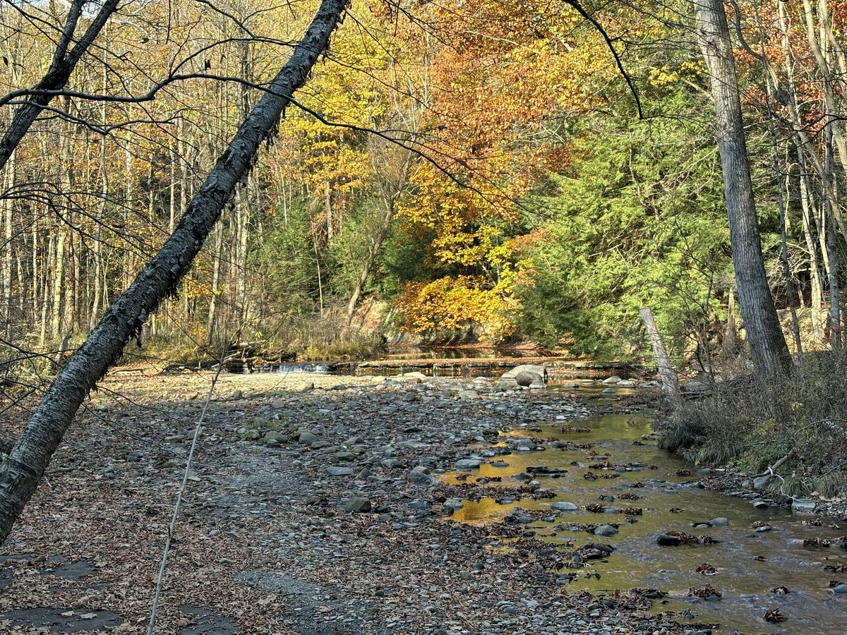 Fall Crooked River Chapter Hike, 13 October | Event in Painesville | AllEvents
