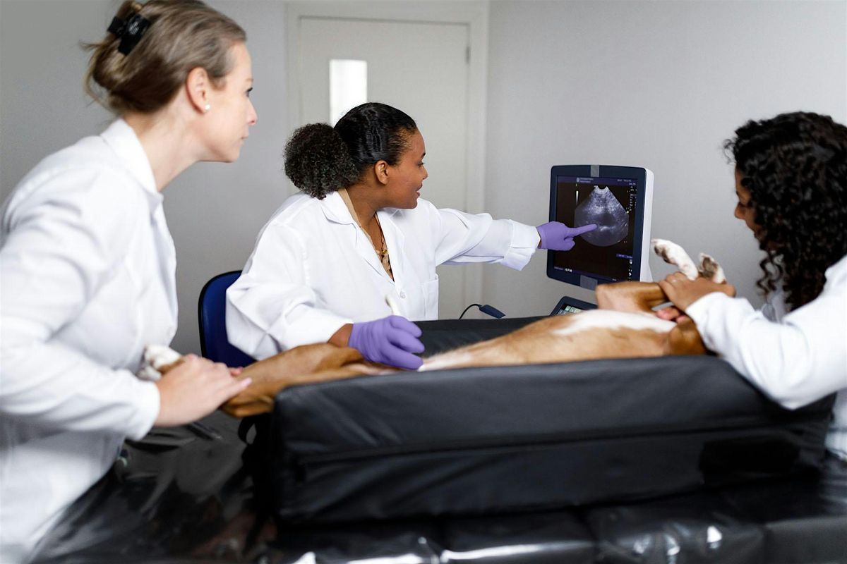 From Image to Insight: Veterinary Radiology with Antech, 12 August | Event in Las Vegas | AllEvents
