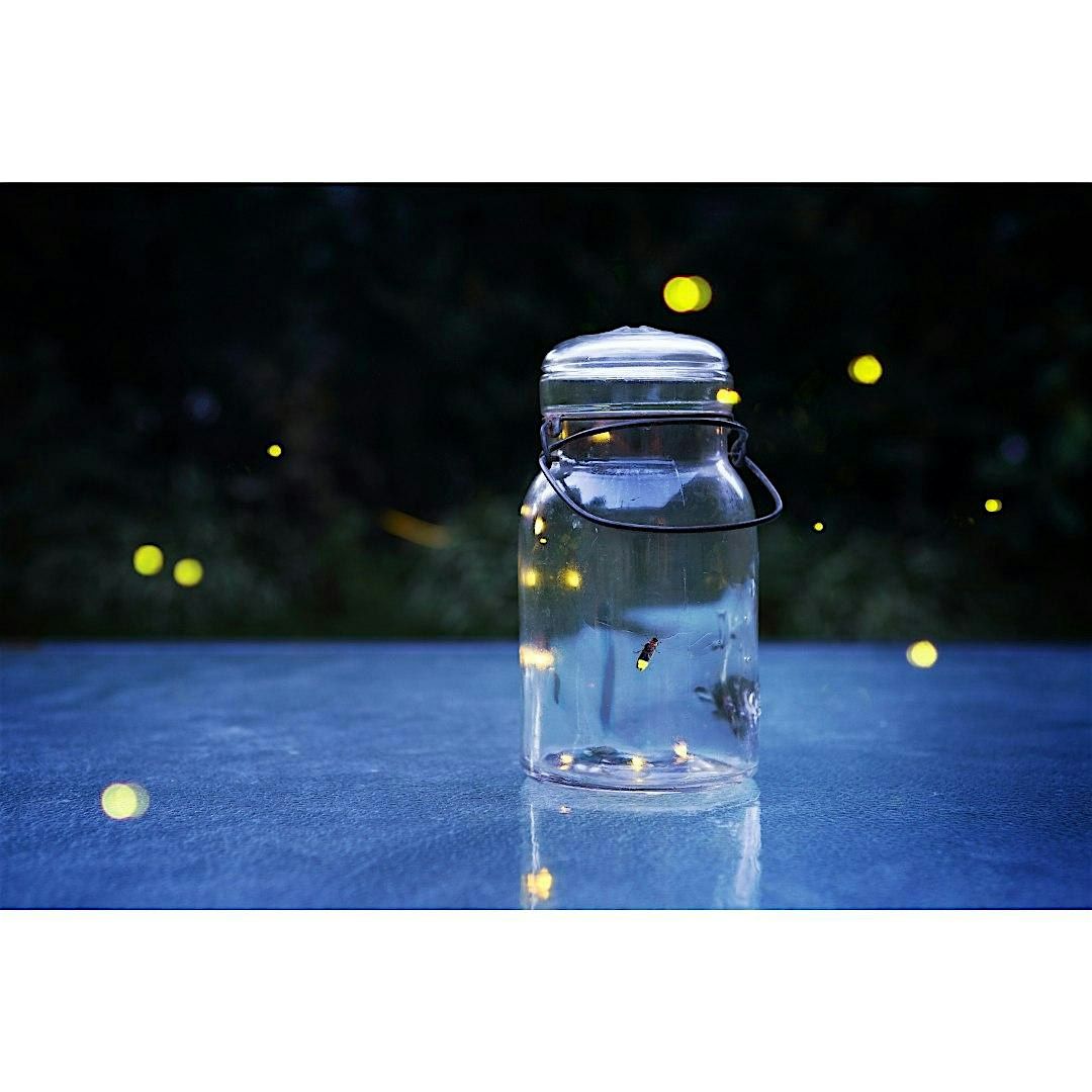 Firefly Frenzy, Children's Program, $4 per child upon arrival, 11 July | Event in Smithtown | AllEvents
