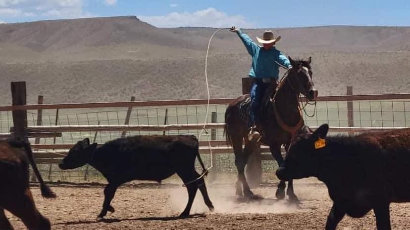 Rock Creek Ranch Roping, Bannock County Event Center, Pocatello, 3 ...
