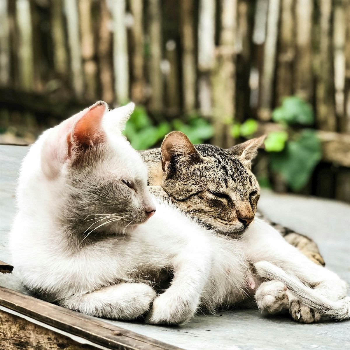 Cuddle Collective: A Consent-Based Cuddle Workshop, 26 July | Event in Santa Barbara | AllEvents