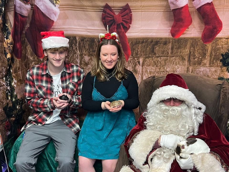 Pet Pictures With Santa , My Pet Store and More (Ellicott City