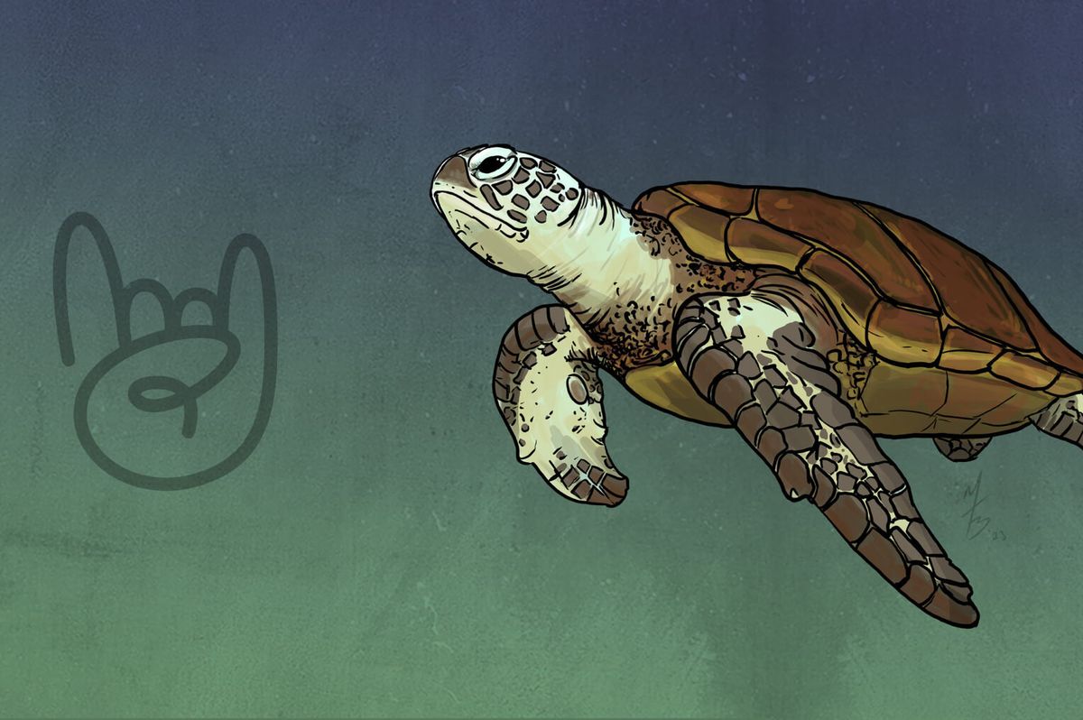The Turtles | Event in Prescott Valley | AllEvents