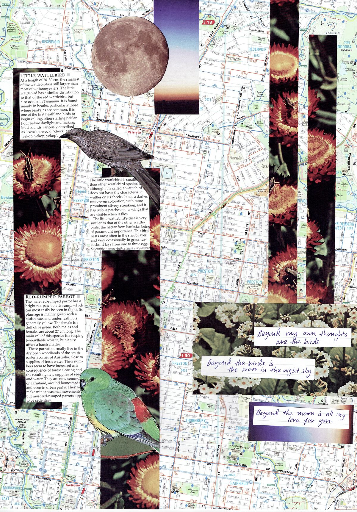 Creativity & Belonging Through Collage, 25 October | Event in Preston | AllEvents