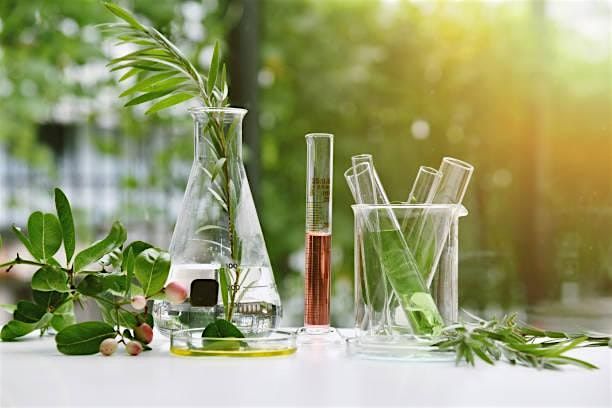Celebrate Springtime with Self Care, 9 May | Event in Albany | AllEvents
