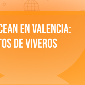 Danny Ocean en Valencia: Conciertos de Viveros