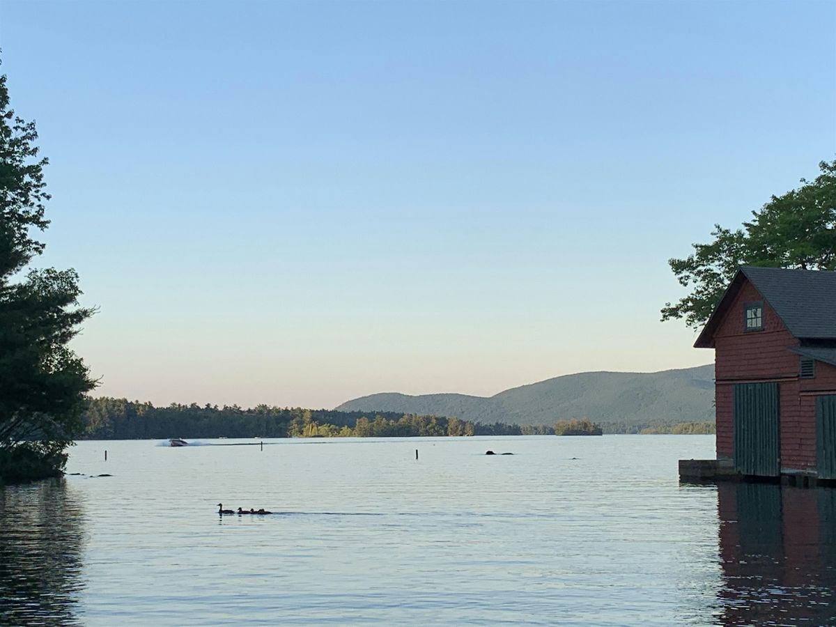 Exploring Birdlife in the Squam Lakes Region, 27 June | Event in Holderness | AllEvents