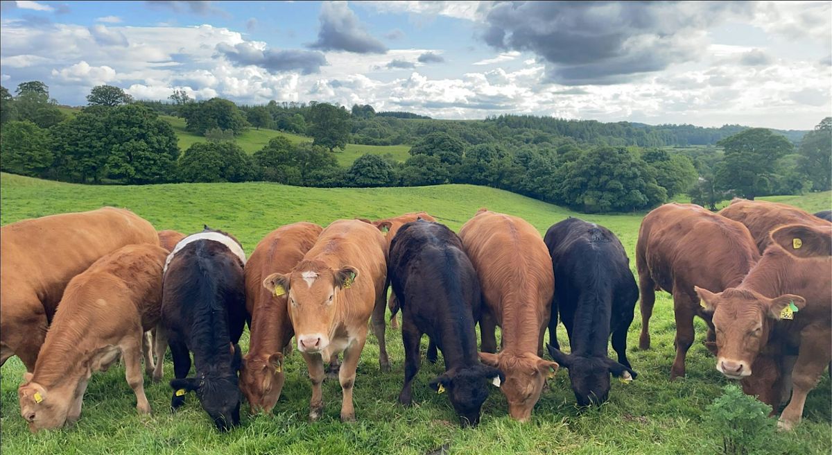 LIVESTOCK DISEASES UPDATE, 13 May | Event in Longtown | AllEvents