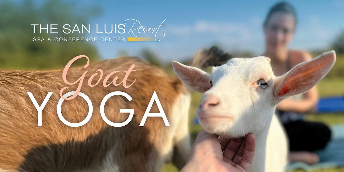 Goat Yoga at The San Luis Resort | Event in Galveston | AllEvents