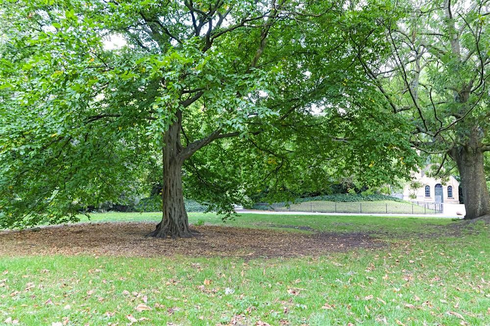 Restore & Reconnect:  A gentle walk in nature, 16 October | Event in London | AllEvents