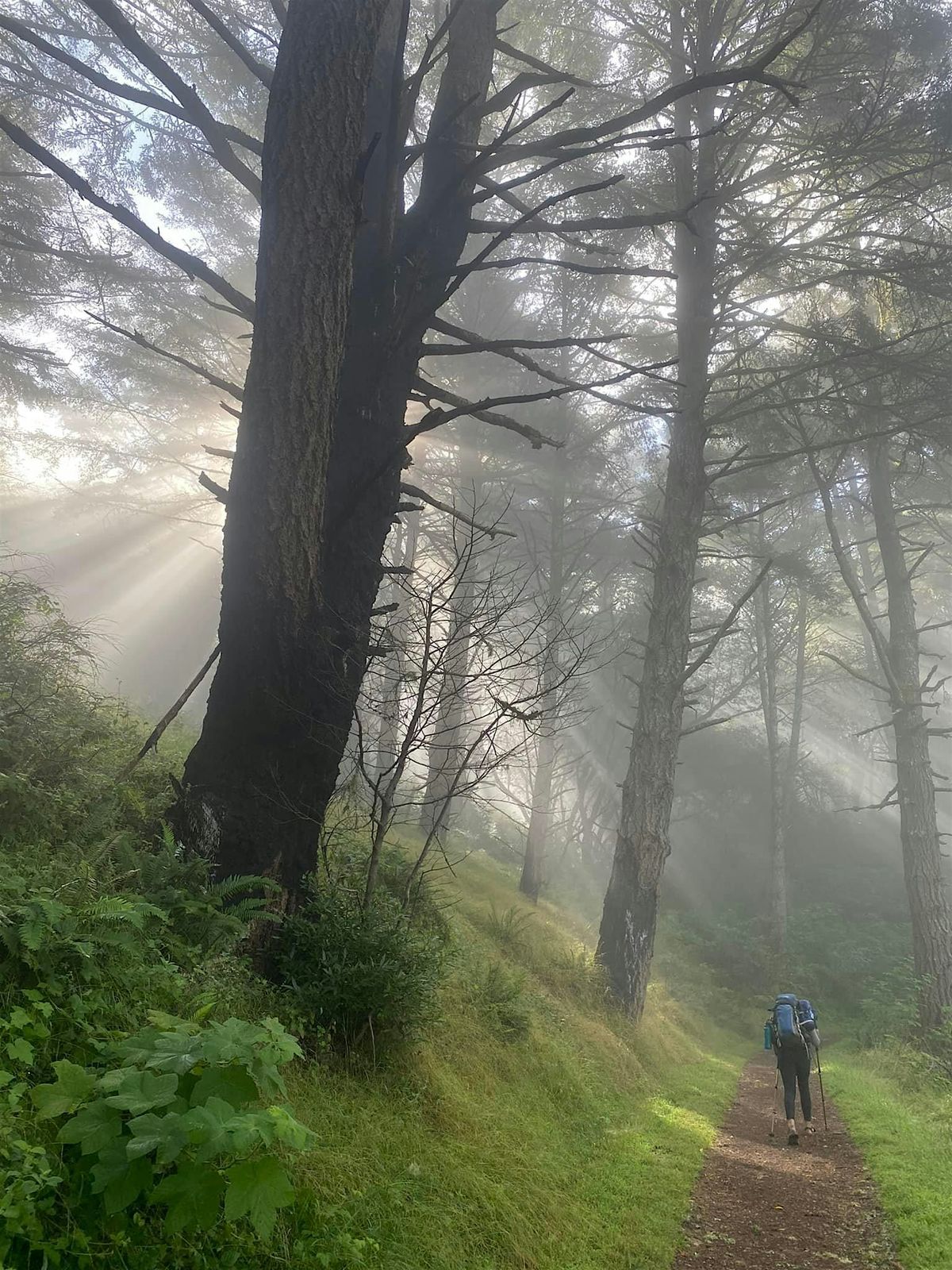 1-Night Intro To Back Packing Adventure at Point Reyes National Seashore, 7 June | Event in Point Reyes Station