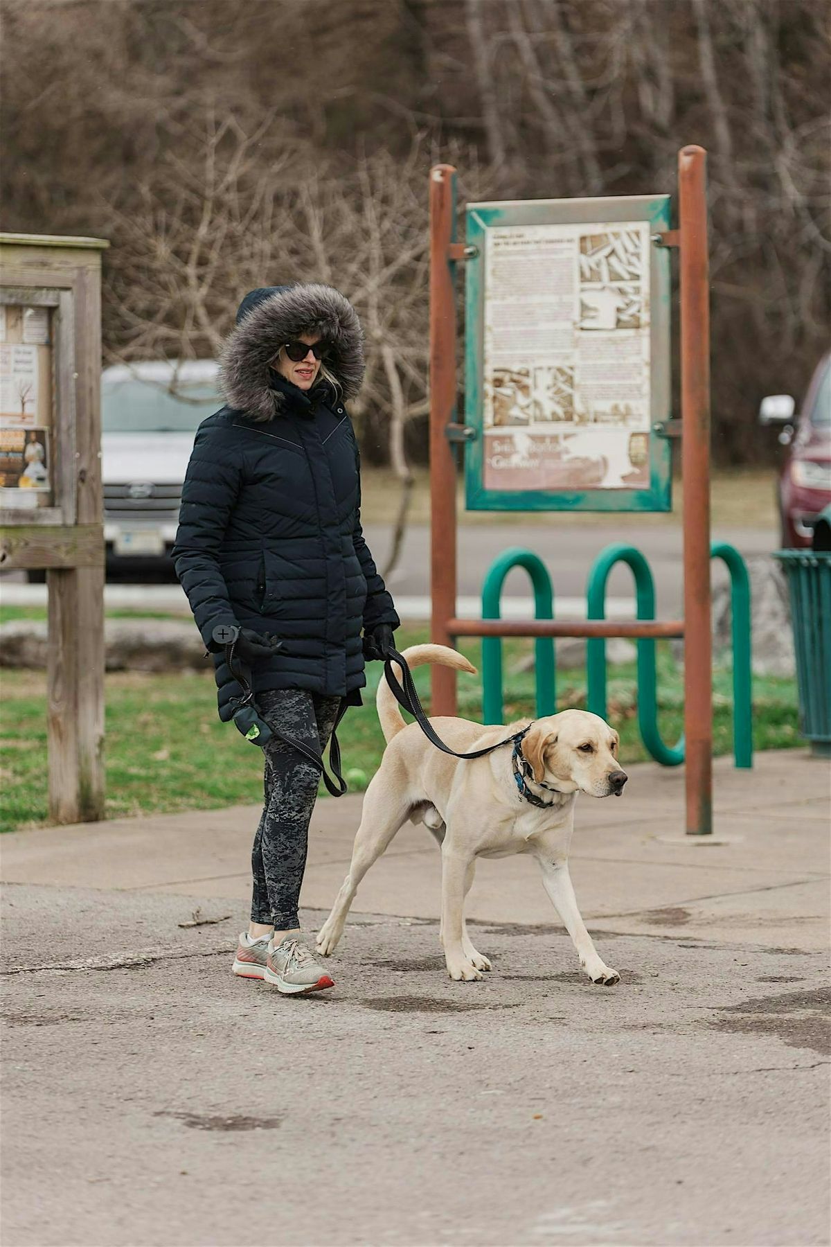 Wags & Walks Leash Skills Class, 23 August | Event in Nashville | AllEvents